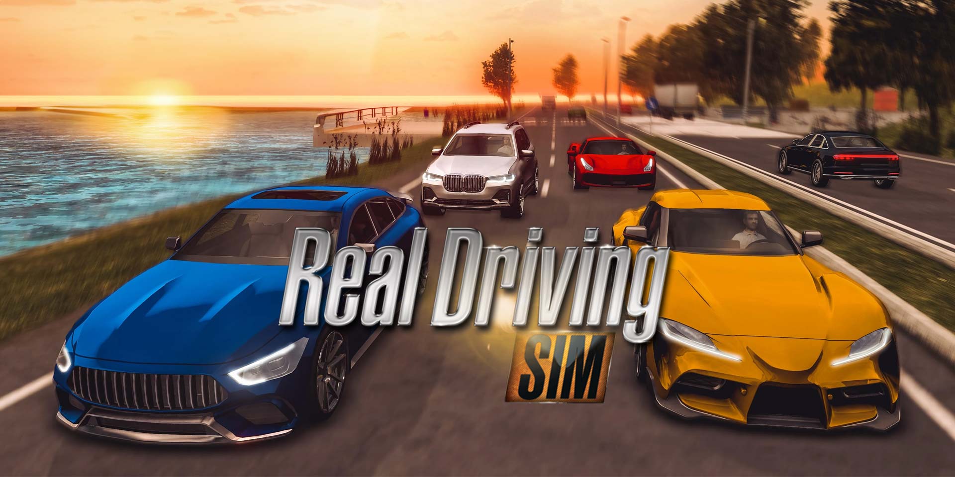 Real Driving Simulator